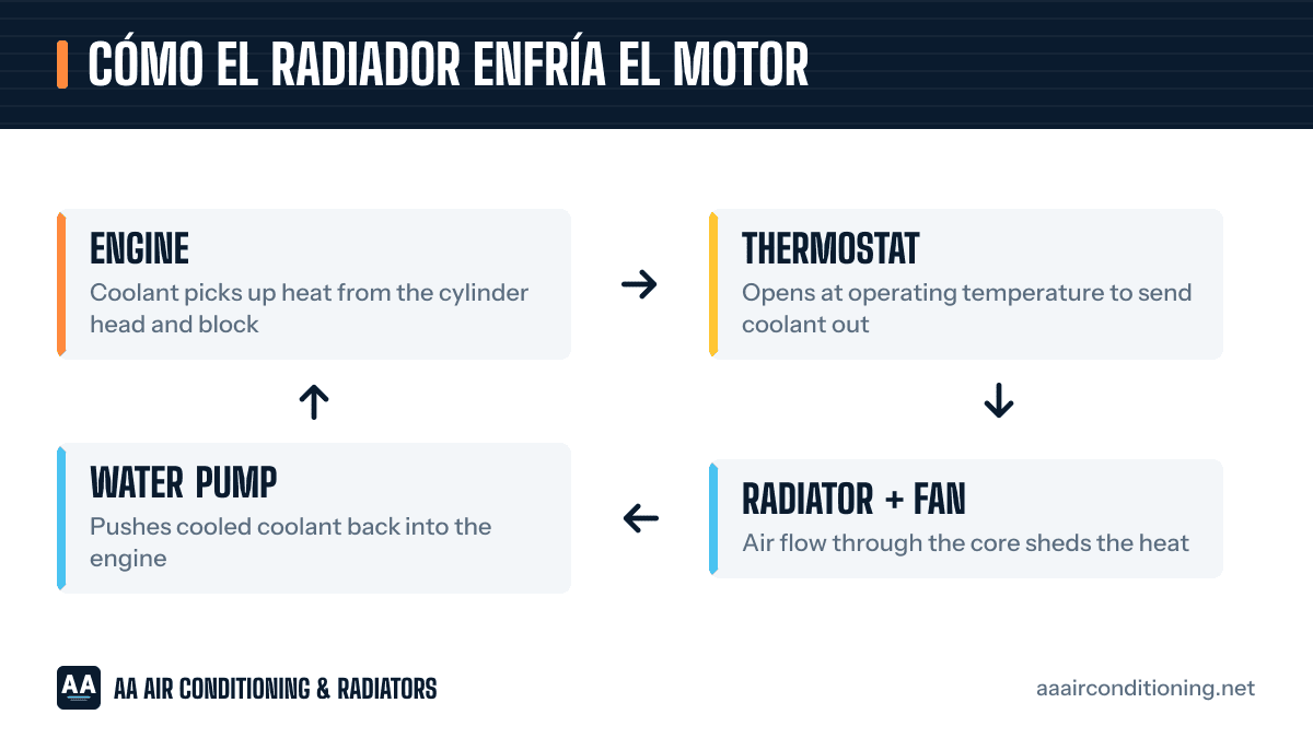 Diagrama del sistema de enfriamiento de un carro: motor, termostato, radiador con ventilador y bomba de agua